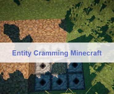 entity cramming minecraft